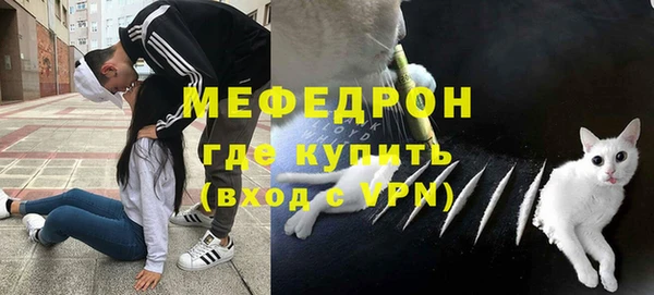 твердый Аркадак